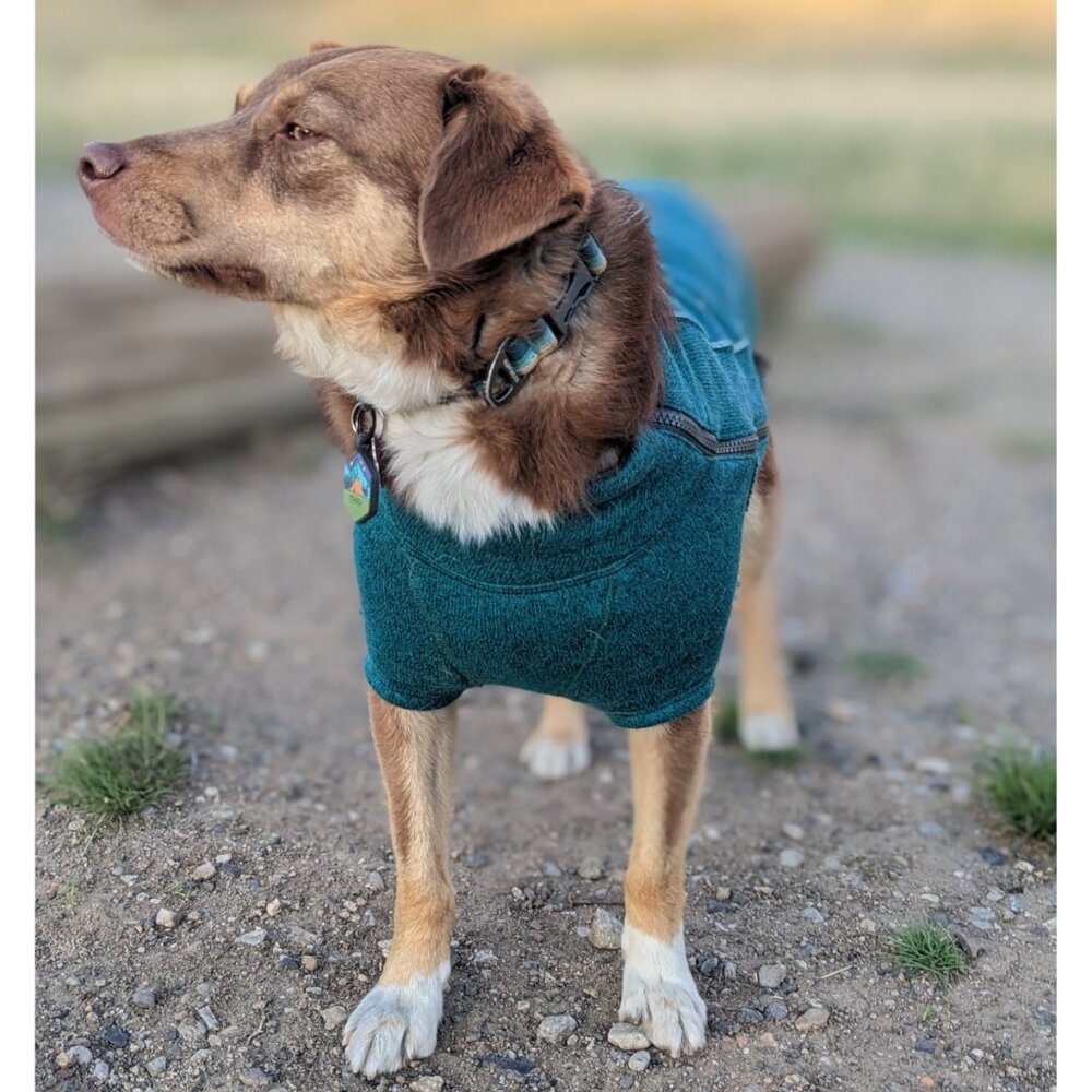 Ruffwear Fernie Dog Jacket, Fleece - Tumalo Teal Blue, Size Small